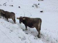 2017-09-10 12-14-23 d694e819